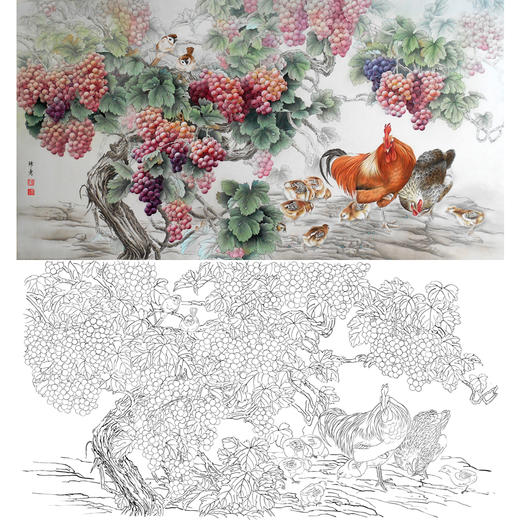 横幅四尺六尺工笔花鸟白描底稿-孙锡之-葡萄公鸡-A074 商品图0
