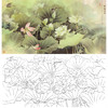横幅工笔花鸟白描底稿-邹传安-荷花-A028 商品缩略图0