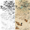 竖幅四尺六尺工笔花鸟白描底稿-邹传安-竹子黑头鸭-A086 商品缩略图0