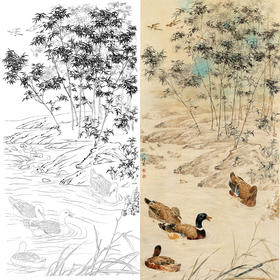 竖幅四尺六尺工笔花鸟白描底稿-邹传安-竹子黑头鸭-A086