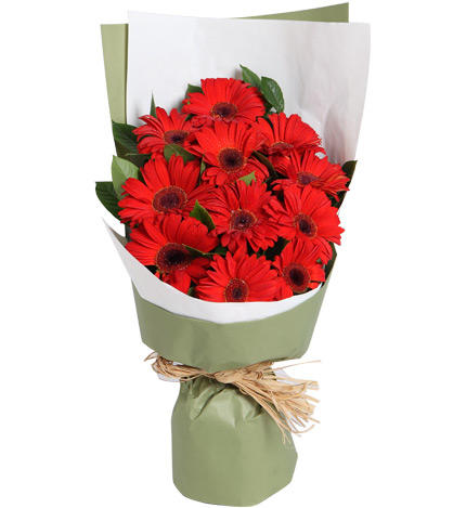 扶郎花束送朋友毕业送花