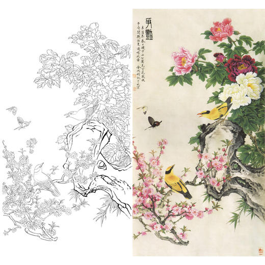 豎幅工筆花鳥白描底稿金鴻鈞牡丹爭豔多種白描尺寸可選a113