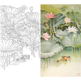 竖幅工笔花鸟白描底稿-荷花鸳鸯-A051