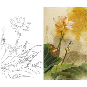 竖幅工笔花鸟白描底稿-邹传安-荷花蜻蜓-出浴-A009