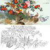 横幅四尺六尺工笔花鸟白描底稿-梁燕生-山茶花锦鸡《锦绣前程》-多种白描尺寸可选-A063 商品缩略图0