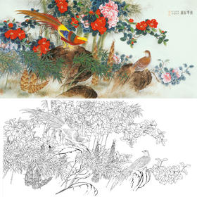 横幅四尺六尺工笔花鸟白描底稿-梁燕生-山茶花锦鸡《锦绣前程》-多种白描尺寸可选-A063