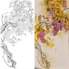竖幅工笔花鸟白描底稿-葡萄松鼠-李喆-A068 商品缩略图0