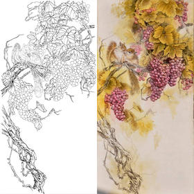 竖幅工笔花鸟白描底稿-葡萄松鼠-李喆-A068