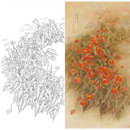 竖幅工笔花鸟白描底稿-梁燕生《红掌》-多种白描尺寸可选-A058 商品图0