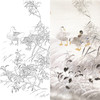 竖幅工笔花鸟白描底稿-鸭子-A109 商品缩略图0