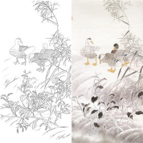 竖幅工笔花鸟白描底稿-鸭子-A109