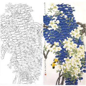 竖幅工笔花鸟白描底稿-周彦生-紫荆花《比翼》-多种白描尺寸可选-A069