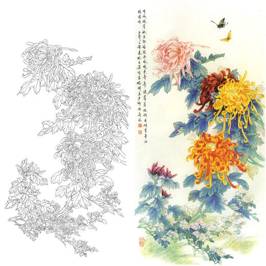 竖幅四尺六尺工笔花鸟白描底稿-王少卿-菊花-A106 商品图0
