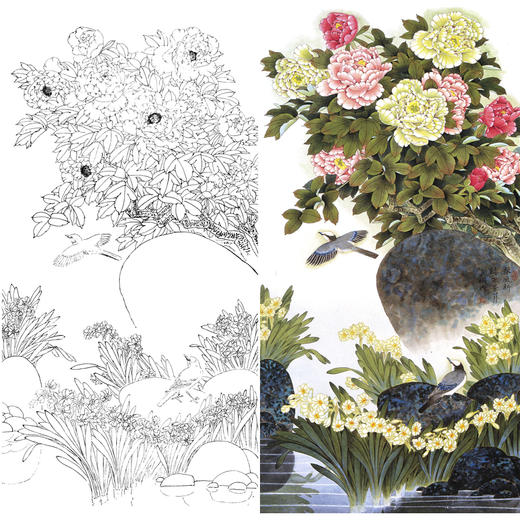 竖幅四尺六尺工笔花鸟白描底稿-牡丹-A127 商品图0