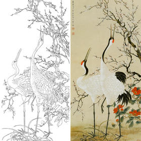 竖幅工笔花鸟白描底稿-陈之佛-仙鹤-梅花白鹤-A090