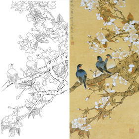 竖幅工笔花鸟白描底稿-陈之佛-樱花蓝雀-多种白描尺寸可选-A092
