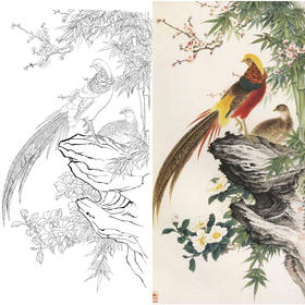 竖幅工笔花鸟白描底稿-金鸿钧竹子锦鸡梅花茶花-A105