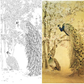 竖幅四尺六尺工笔花鸟白描底稿-张玉明-孔雀-A096