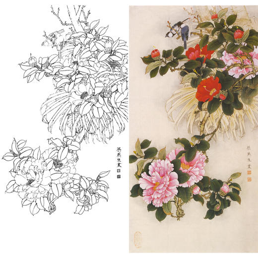 竖幅工笔花鸟白描底稿-梁燕生-山茶花-多种白描尺寸可选-A122 商品图0