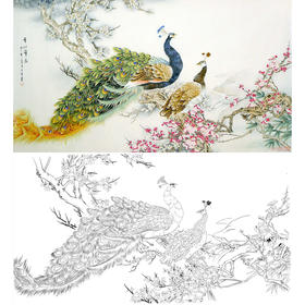 横幅工笔花鸟白描底稿-梅花孔雀-A016