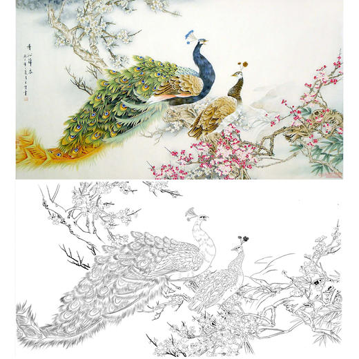 横幅工笔花鸟白描底稿-梅花孔雀-A016 商品图0