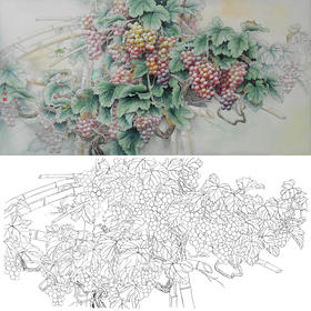 横幅四尺六尺工笔花鸟白描底稿-孙锡之-葡萄蝈蝈-A066