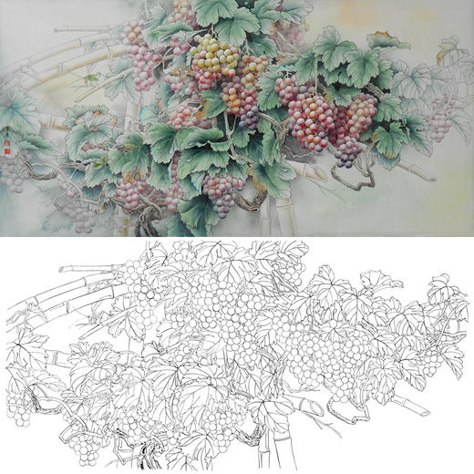 横幅四尺六尺工笔花鸟白描底稿-孙锡之-葡萄蝈蝈-A066 商品图0