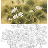 横幅工笔花鸟白描底稿-荷花小鸟-A026 商品缩略图0