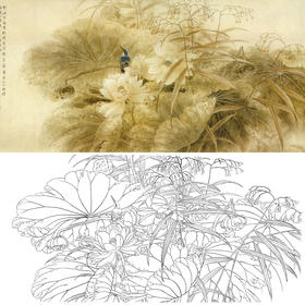 横幅工笔花鸟白描底稿-荷花翠鸟-A018