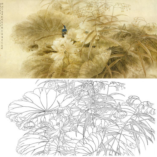 横幅工笔花鸟白描底稿-荷花翠鸟-A018 商品图0