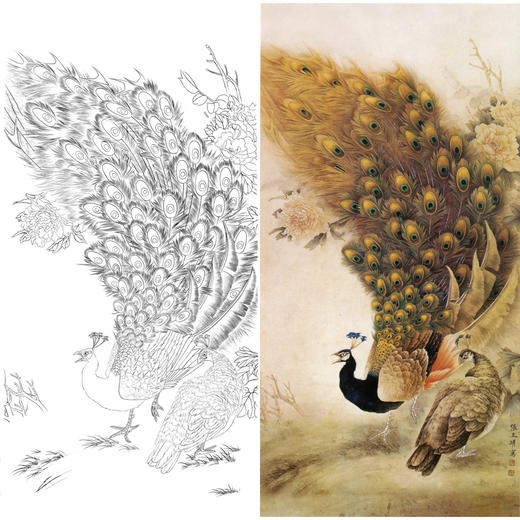 竖幅四尺六尺工笔花鸟白描底稿-张玉明-孔雀-A097 商品图0