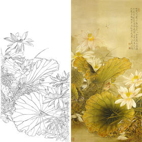 竖幅四尺六尺工笔花鸟白描底稿-荷花-A114