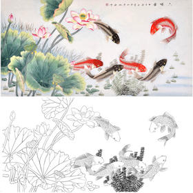 横幅四尺六尺工笔花鸟白描底稿-仇谷-荷花鲤鱼-六顺图-A147