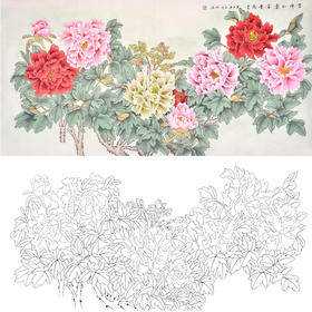 横幅四尺六尺工笔花鸟白描底稿-仇谷-牡丹-吉祥如意富贵满堂-A145