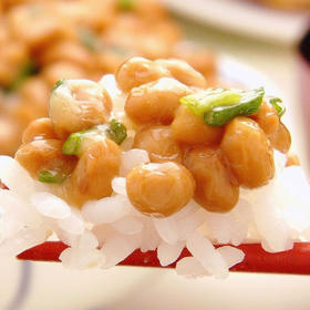 纳豆顺丰快递运费到付