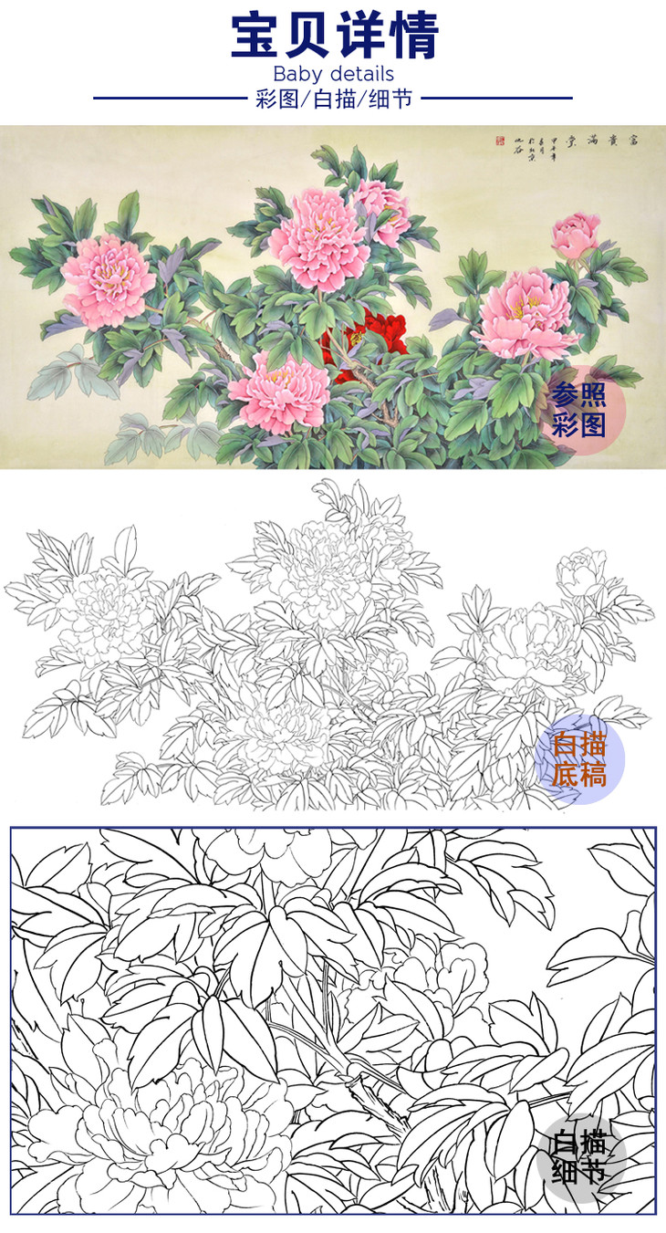 白描牡丹花鸟图片大全图片