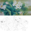 横幅四尺六尺工笔花鸟白描底稿-荷花-A160 商品缩略图0