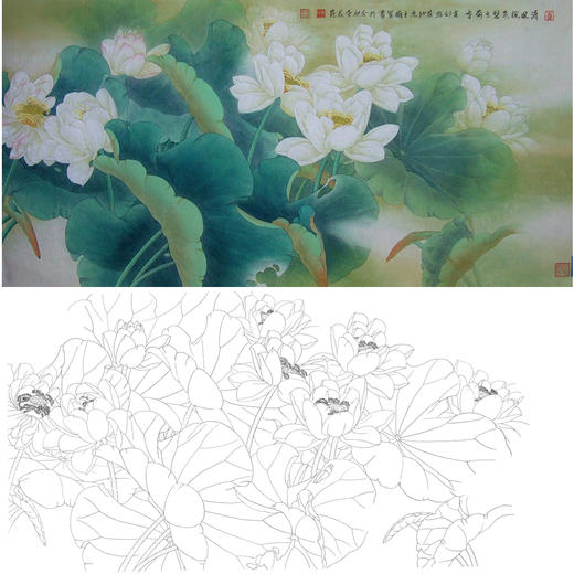 横幅四尺六尺工笔花鸟白描底稿-荷花-A160 商品图0