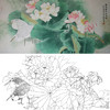 横幅四尺六尺工笔花鸟白描底稿-荷花白鹭-A173 商品缩略图0