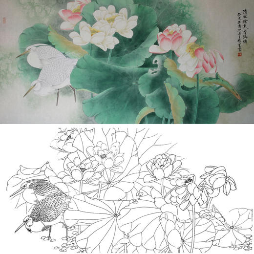 横幅四尺六尺工笔花鸟白描底稿-荷花白鹭-A173 商品图0