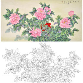 横幅四尺六尺工笔花鸟白描底稿-仇谷-牡丹-富贵满堂-A148