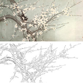 横幅四尺六尺工笔花鸟白描底稿-梅花-A165