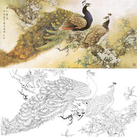 横幅四尺六尺工笔花鸟白描底稿-张玉明-孔雀-香沁锦衣-A139