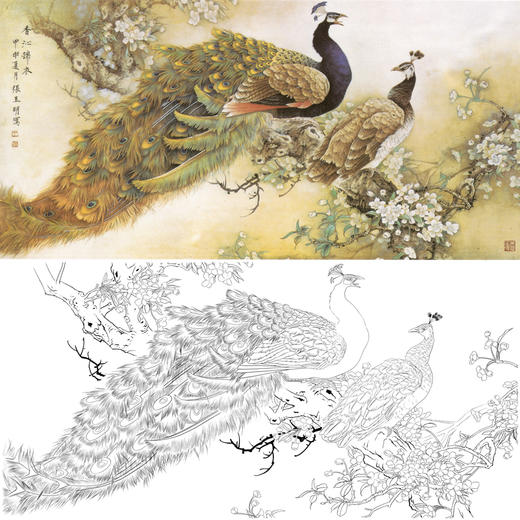 横幅四尺六尺工笔花鸟白描底稿-张玉明-孔雀-香沁锦衣-A139 商品图0