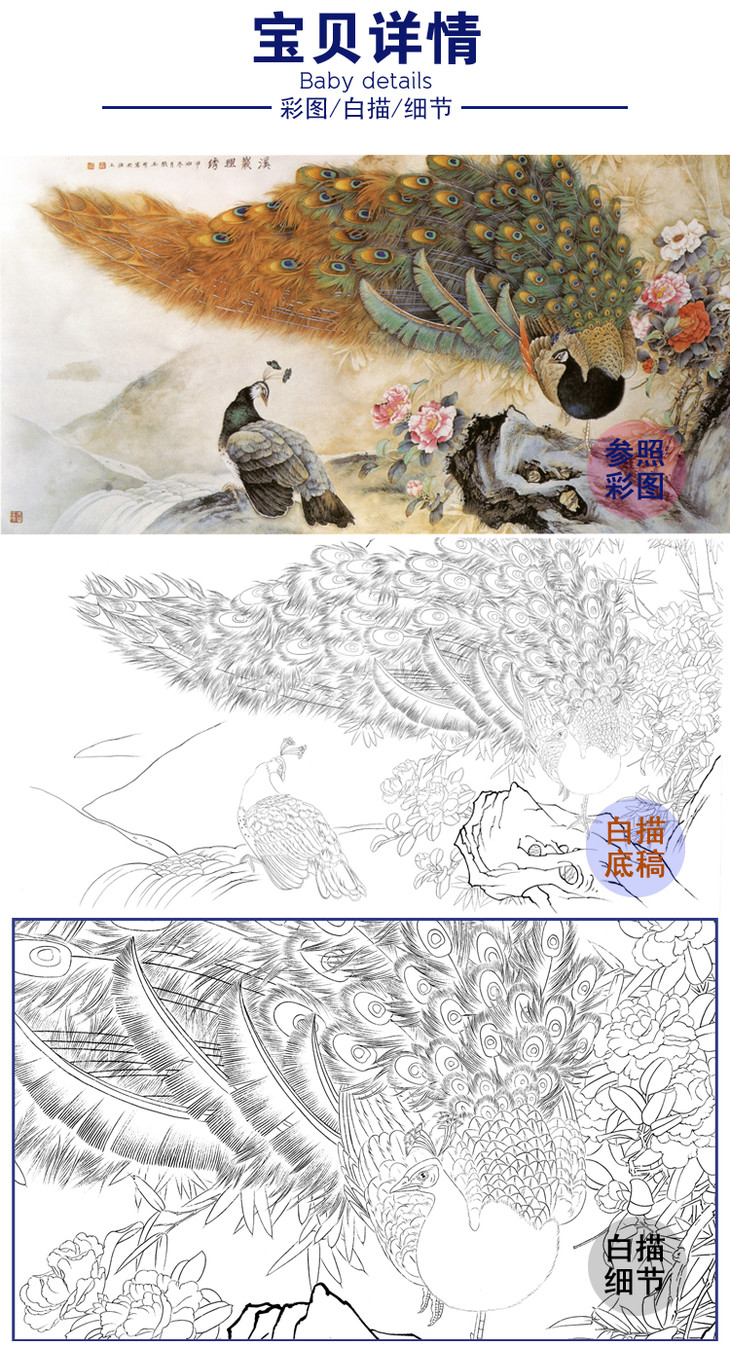 横幅工笔花鸟白描底稿张玉明孔雀a141