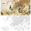 横幅工笔花鸟白描底稿-张玉明-孔雀-A140 商品缩略图0