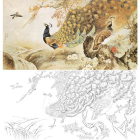 横幅工笔花鸟白描底稿-张玉明-孔雀-A140