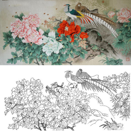 横幅四尺六尺工笔花鸟白描底稿-牡丹锦鸡-A180 商品图0