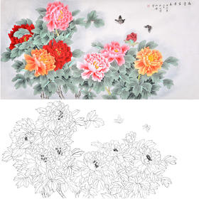 横幅四尺六尺工笔花鸟白描底稿-仇谷-牡丹-满堂富贵春-A142