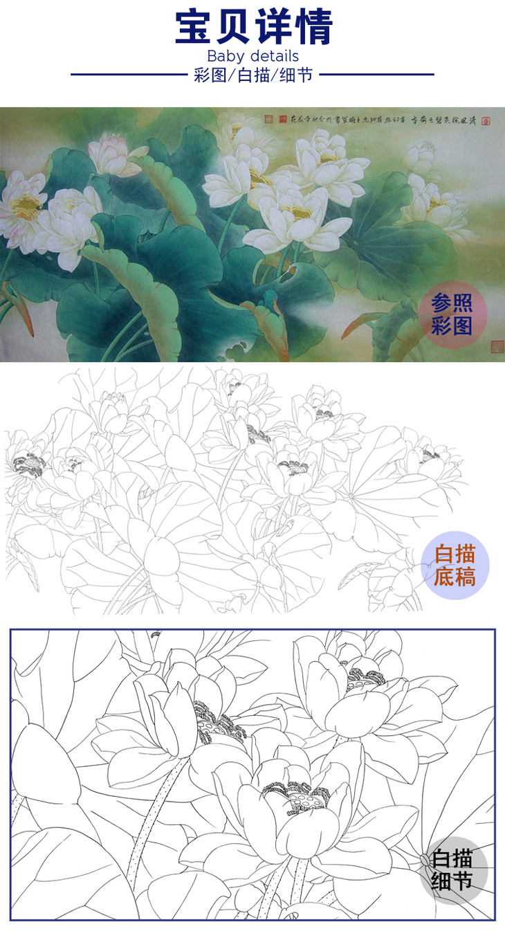 横幅四尺六尺工笔花鸟白描底稿荷花a160